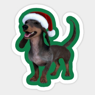 Holiday Ready Dachshund Sausage Dog With Santa Hat Sticker